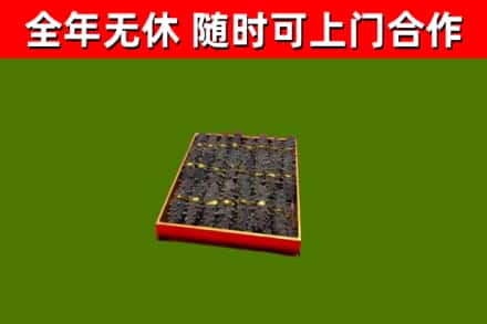 望花回收海参